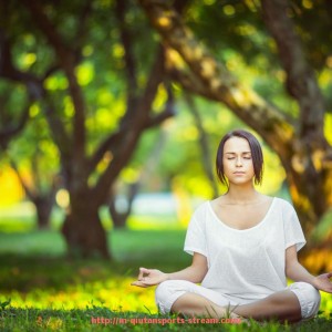 球探体育-拉尔森正式加盟意甲球队的影响与未来展望